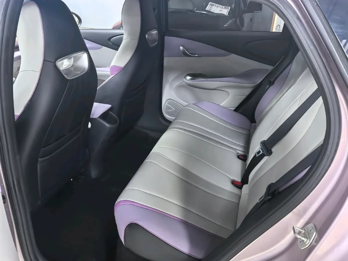 2021 BYD Yuan Pro BEV 50.1KWH,autocango,china used car exporter,china ev exporter,chinese used car exporter,chinese used ev exporter