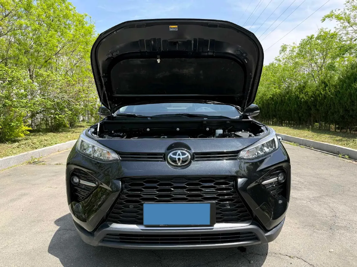 2020 Toyota Wildlander 2.0L 171HP L4 CVT,autocango,china used car exporter,china ev exporter,chinese used car exporter,chinese used ev exporter