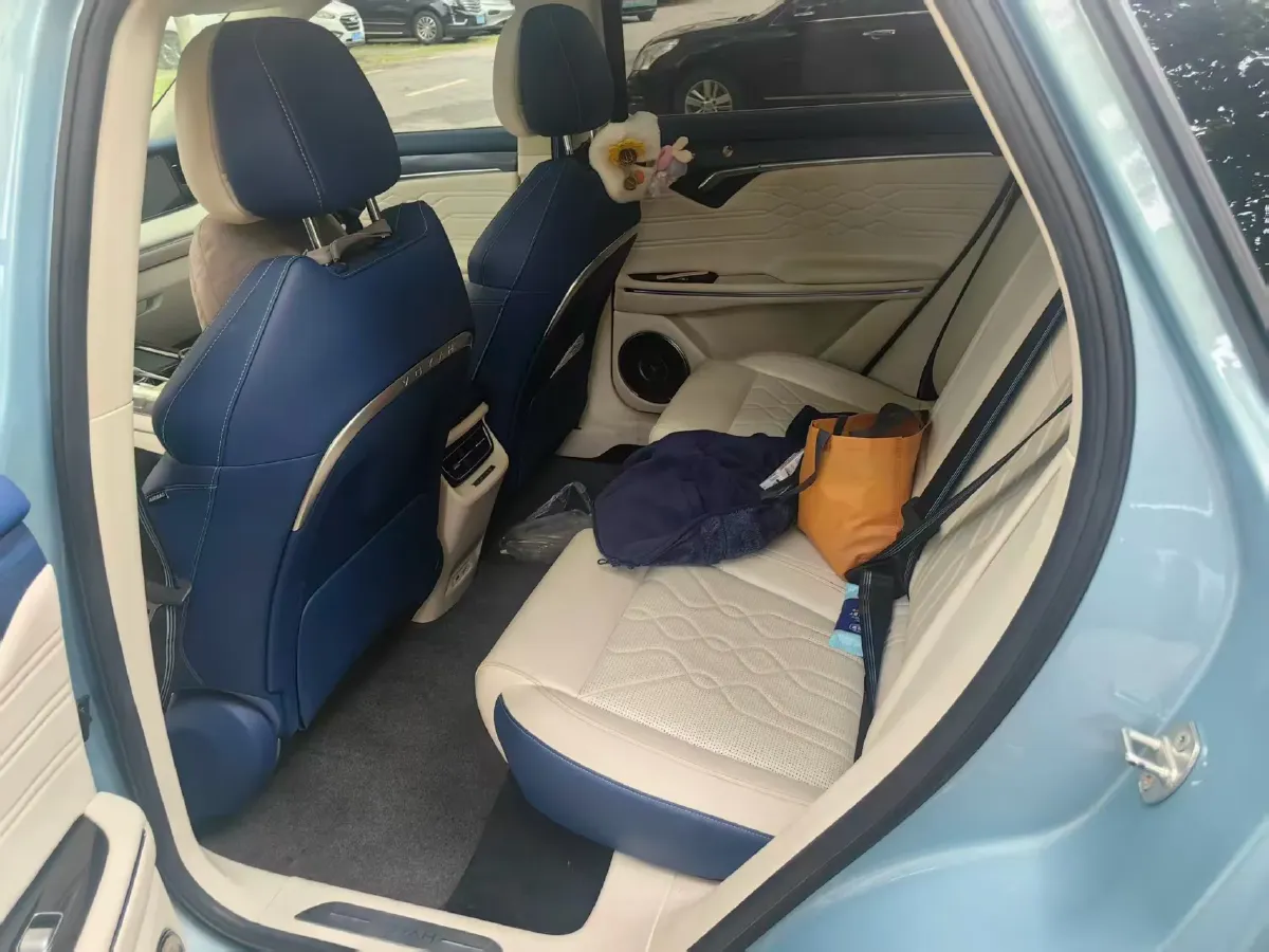 2021 Voyah FREE Range Extended 109HP REEV 33KWH,autocango,china used car exporter,china ev exporter,chinese used car exporter,chinese used ev exporter