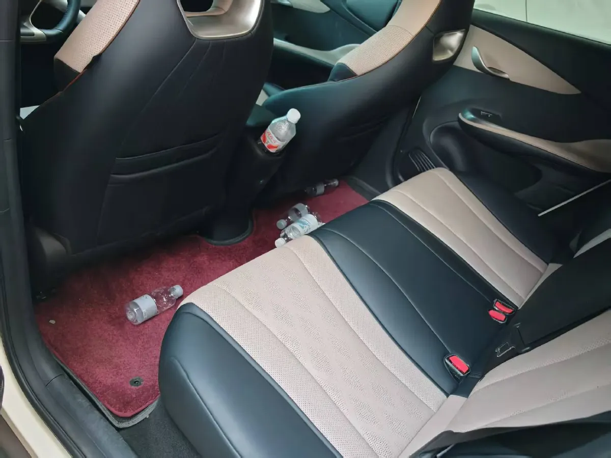 2025 BYD Dolphin BEV 44.928KWH,autocango,china used car exporter,china ev exporter,chinese used car exporter,chinese used ev exporter