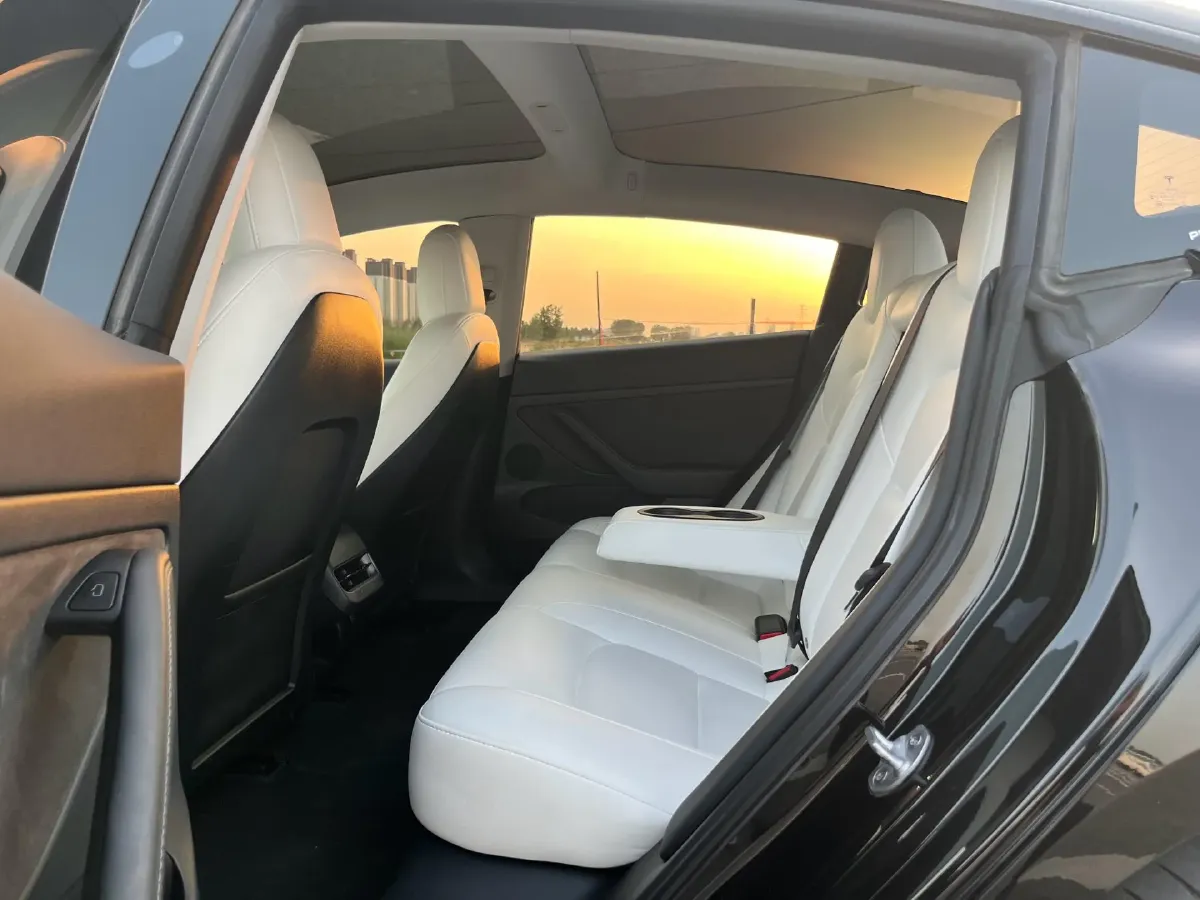 2022 Tesla Model 3 BEV 60KWH,autocango,china used car exporter,china ev exporter,chinese used car exporter,chinese used ev exporter