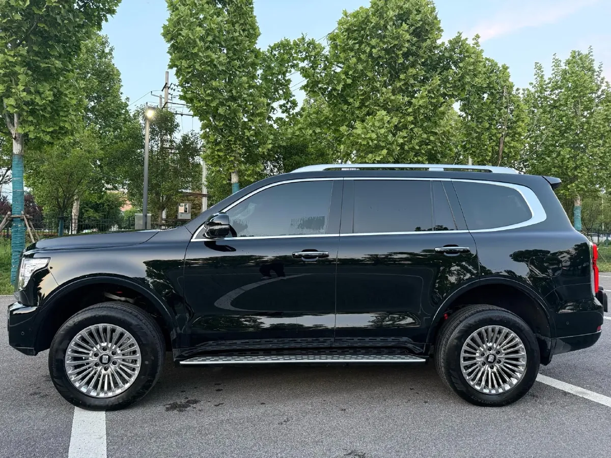 2025 Tank 500 2.0T 252HP L4 3DHT PHEV 59.05KWH,autocango,china used car exporter,china ev exporter,chinese used car exporter,chinese used ev exporter