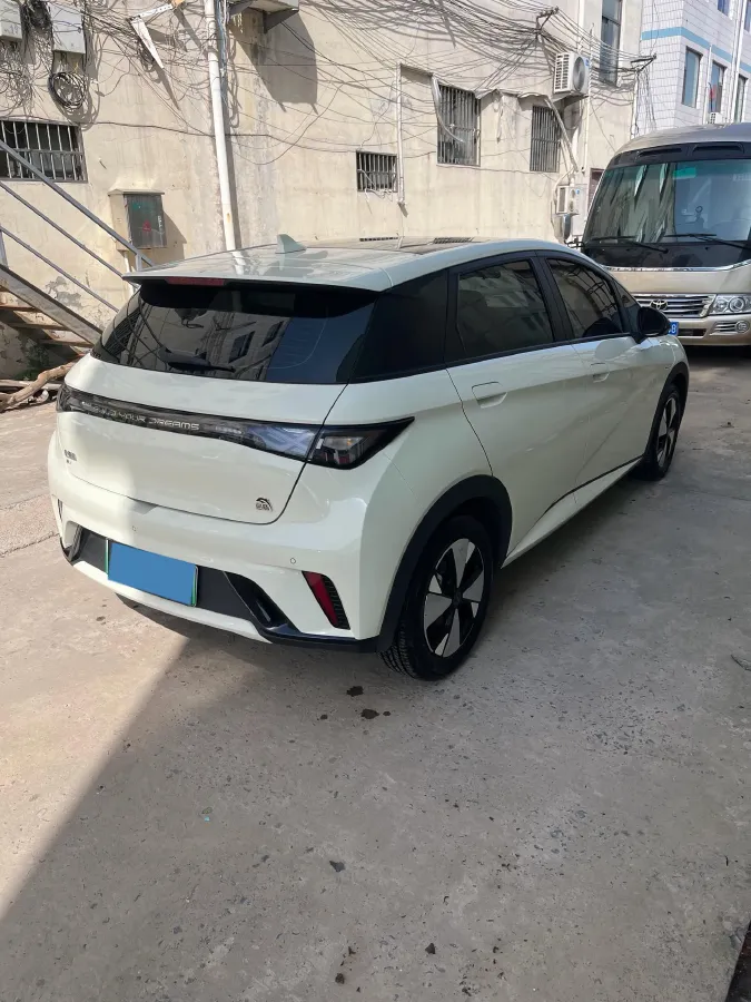 2023 BYD Dolphin BEV 44.928KWH,autocango,china used car exporter,china ev exporter,chinese used car exporter,chinese used ev exporter