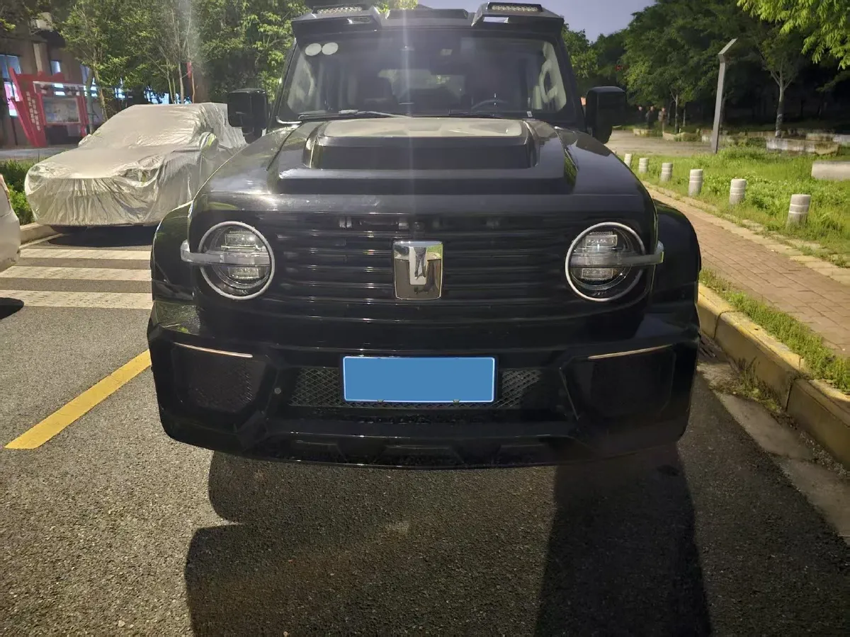 2024 Tank 300 2.0T 227HP L4 8AT,autocango,china used car exporter,china ev exporter,chinese used car exporter,chinese used ev exporter