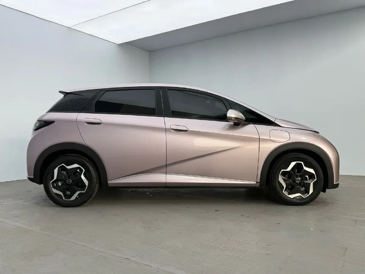 2021 BYD Yuan Pro BEV 50.1KWH,autocango,china used car exporter,china ev exporter,chinese used car exporter,chinese used ev exporter