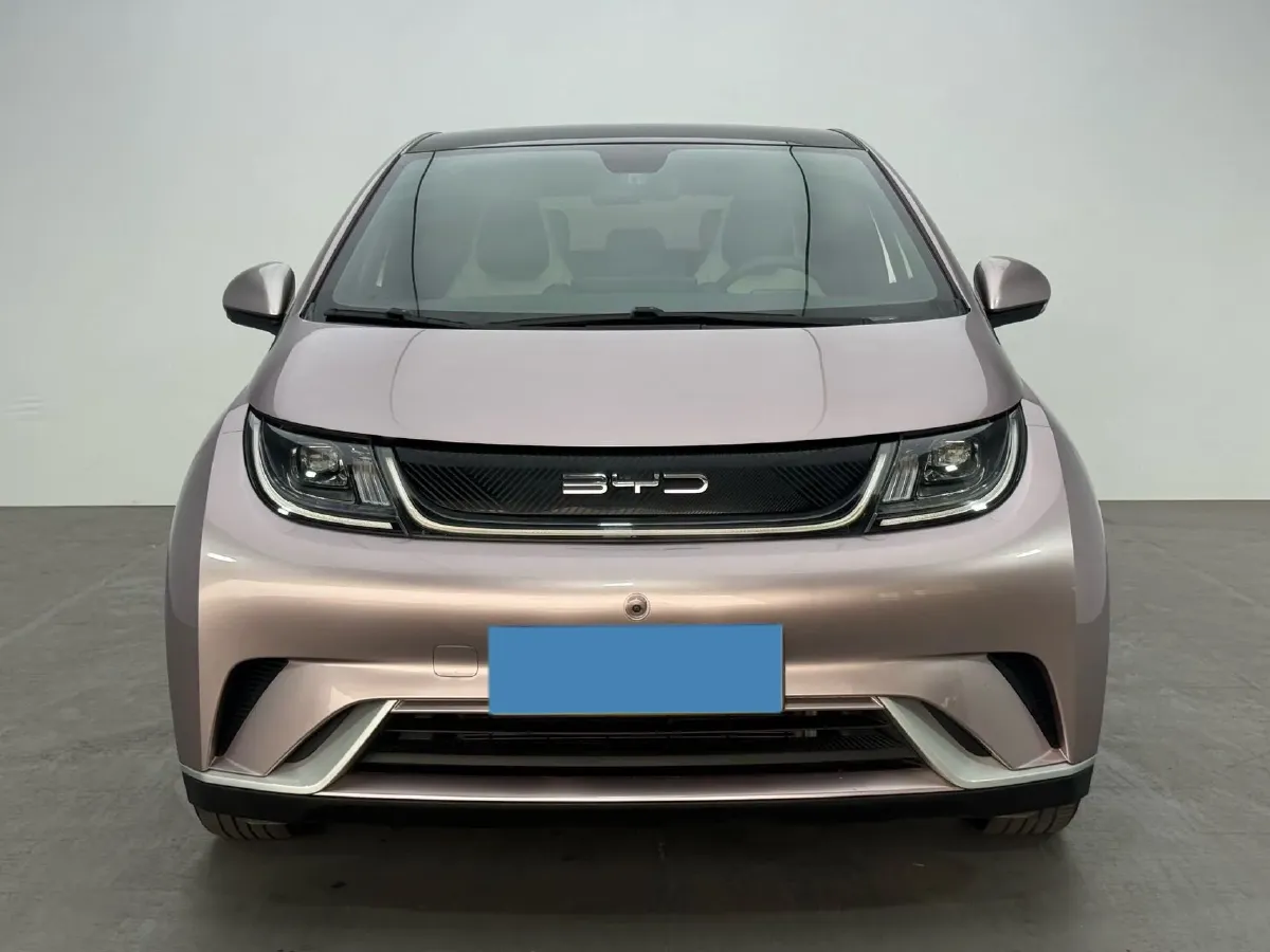2021 BYD Yuan Pro BEV 50.1KWH,autocango,china used car exporter,china ev exporter,chinese used car exporter,chinese used ev exporter