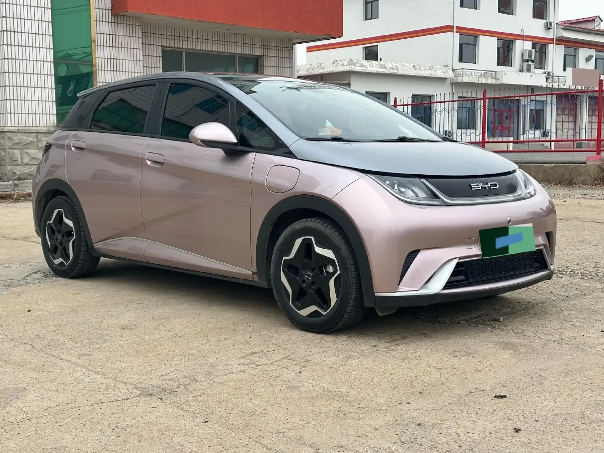 2021 BYD Yuan Pro BEV 50.1KWH,autocango,china used car exporter,china ev exporter,chinese used car exporter,chinese used ev exporter