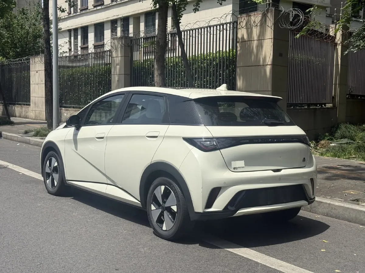 2023 BYD Dolphin BEV 44.928KWH,autocango,china used car exporter,china ev exporter,chinese used car exporter,chinese used ev exporter