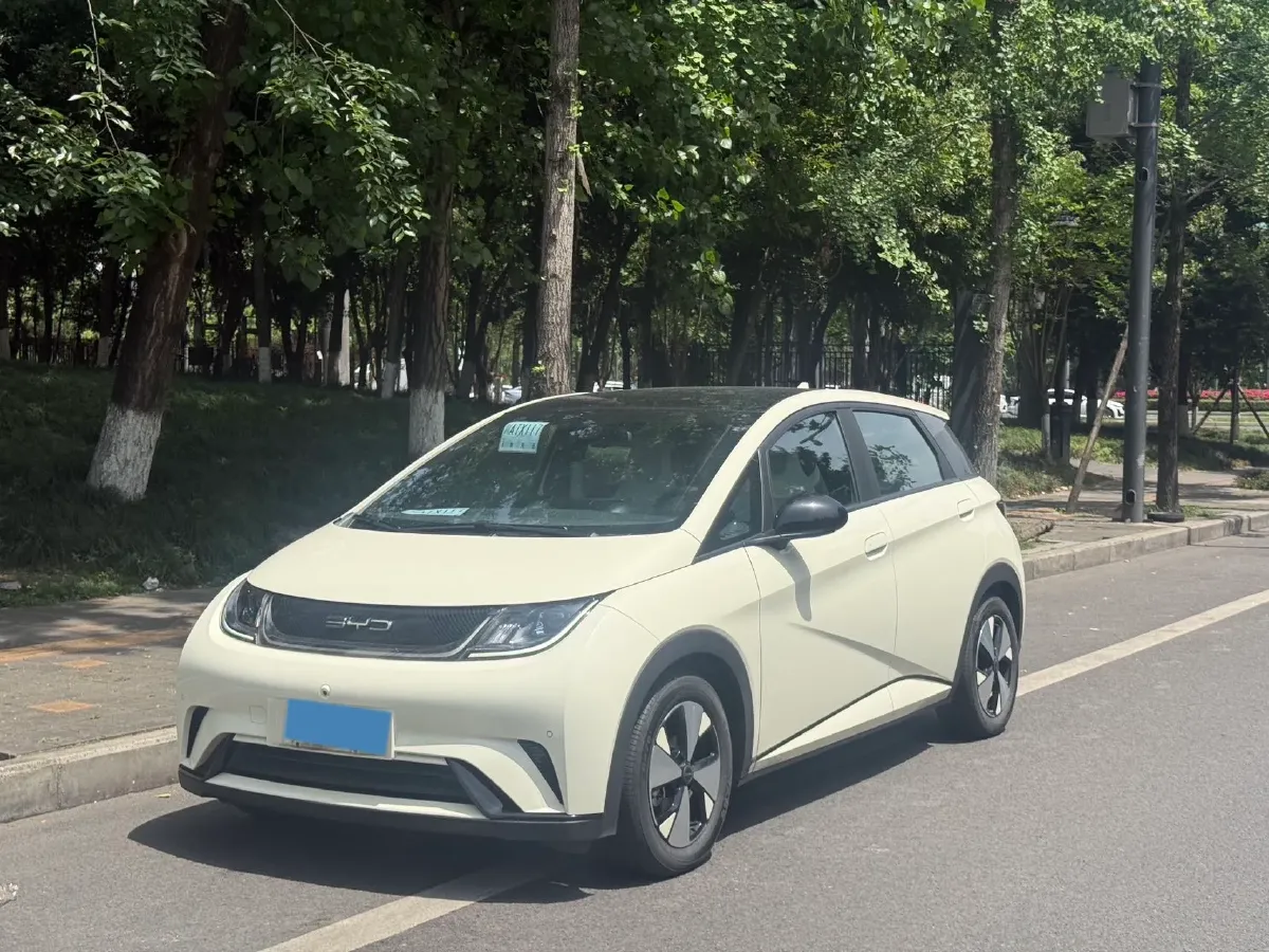 2023 BYD Dolphin BEV 44.928KWH,autocango,china used car exporter,china ev exporter,chinese used car exporter,chinese used ev exporter