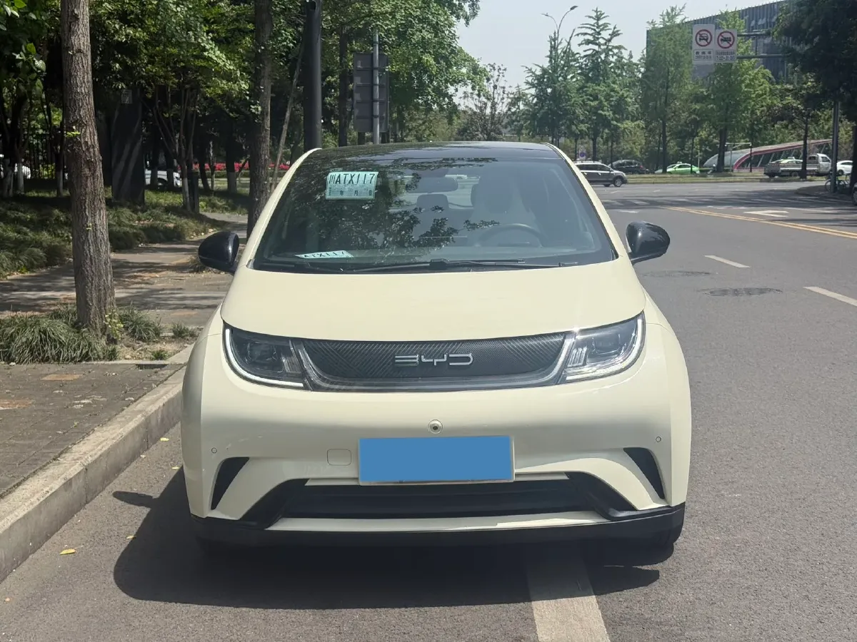 2023 BYD Dolphin BEV 44.928KWH,autocango,china used car exporter,china ev exporter,chinese used car exporter,chinese used ev exporter