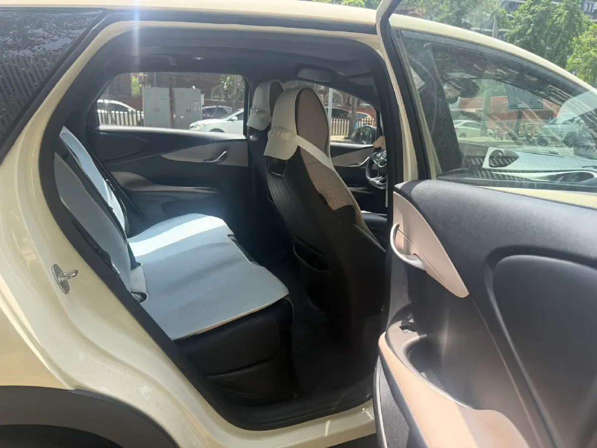 2023 BYD Dolphin BEV 44.928KWH,autocango,china used car exporter,china ev exporter,chinese used car exporter,chinese used ev exporter