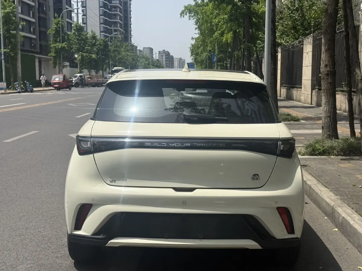 2023 BYD Dolphin BEV 44.928KWH,autocango,china used car exporter,china ev exporter,chinese used car exporter,chinese used ev exporter