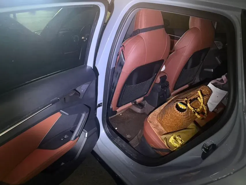 2025 Audi A3 1.5T 160HP L4 7DCT,autocango,china used car exporter,china ev exporter,chinese used car exporter,chinese used ev exporter