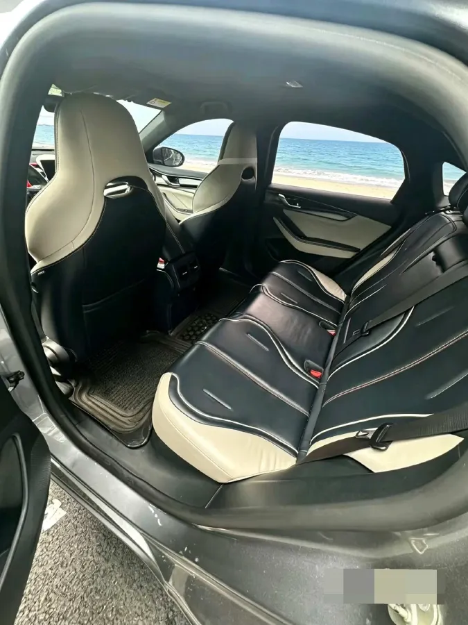 2019 BYD Qin 1.5L 109HP L4 5MT,autocango,china used car exporter,china ev exporter,chinese used car exporter,chinese used ev exporter