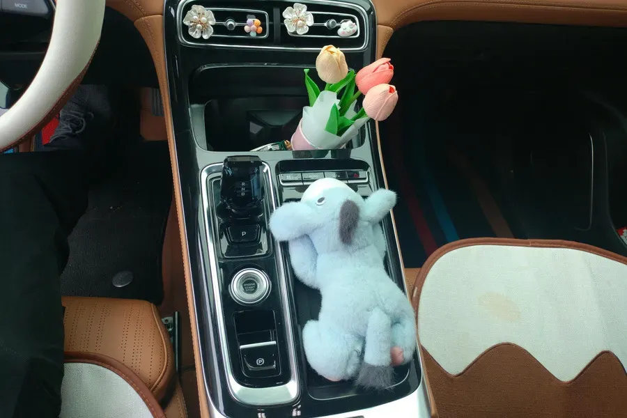 2025 Geely StarRay 1.5T 181HP L4 7DCT,autocango,china used car exporter,china ev exporter,chinese used car exporter,chinese used ev exporter