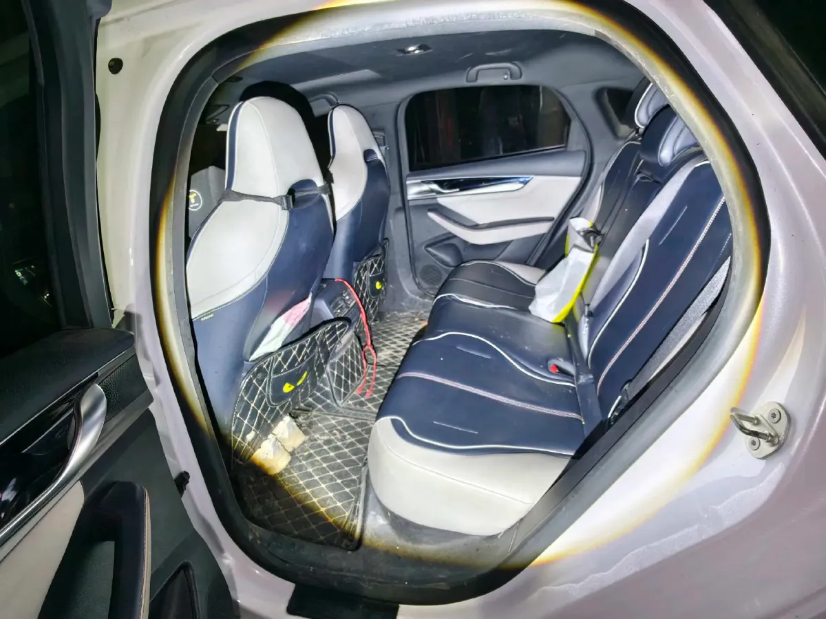 2021 DongFeng FuKang e Elysee BEV 38.4KWH,autocango,china used car exporter,china ev exporter,chinese used car exporter,chinese used ev exporter