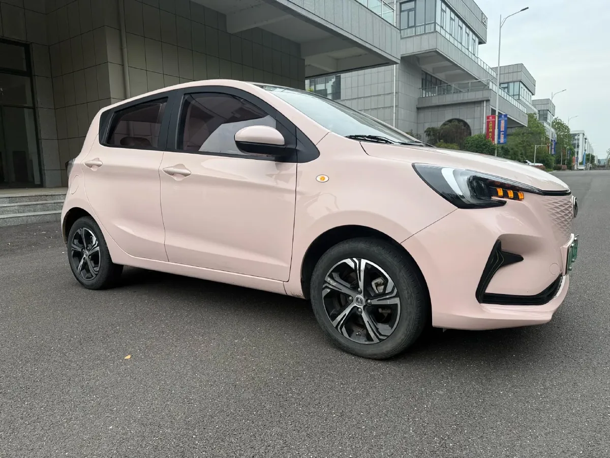 2022 ChangAn BenBen E-Star BEV 31.95KWH,autocango,china used car exporter,china ev exporter,chinese used car exporter,chinese used ev exporter