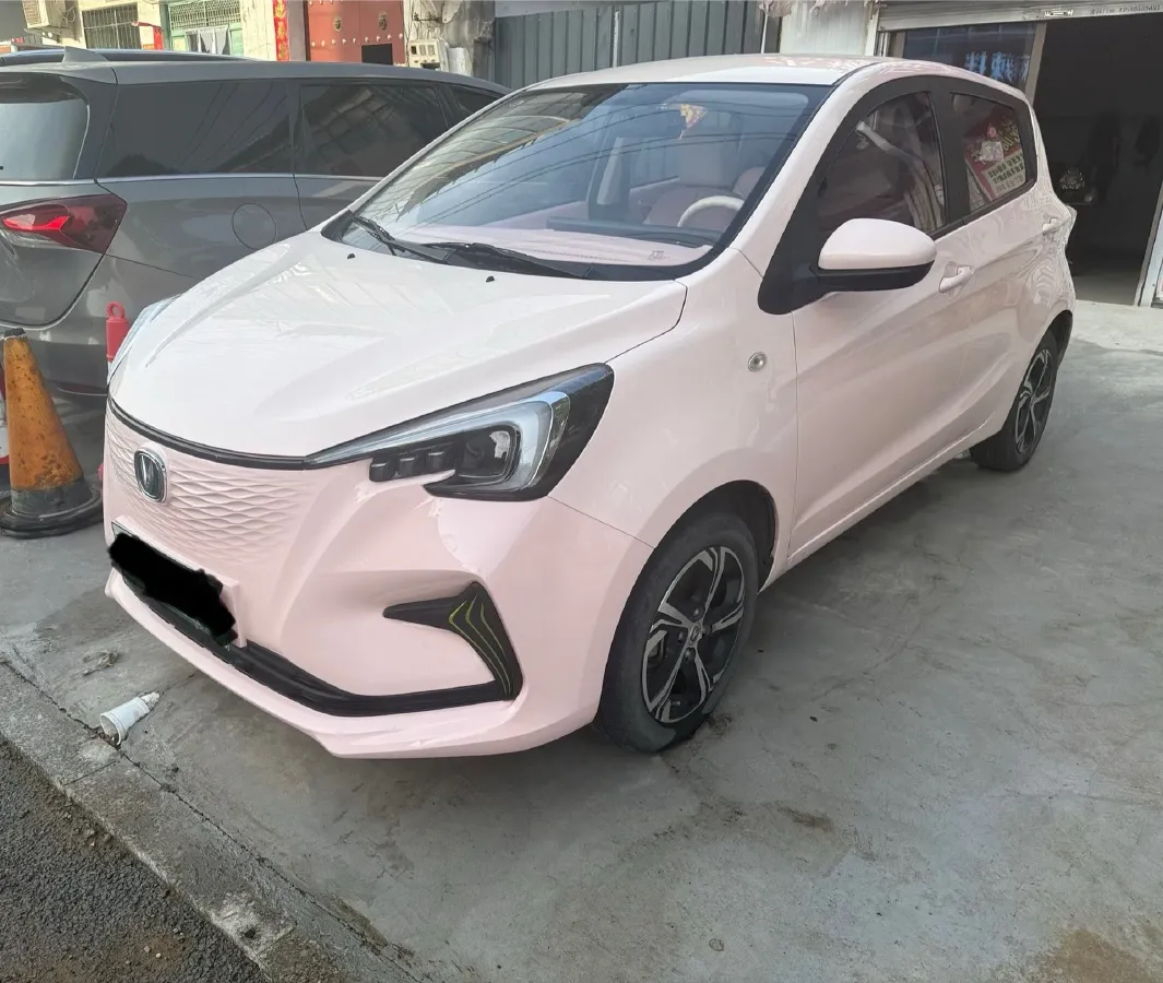 2022 ChangAn BenBen E-Star BEV 31.95KWH,autocango,china used car exporter,china ev exporter,chinese used car exporter,chinese used ev exporter