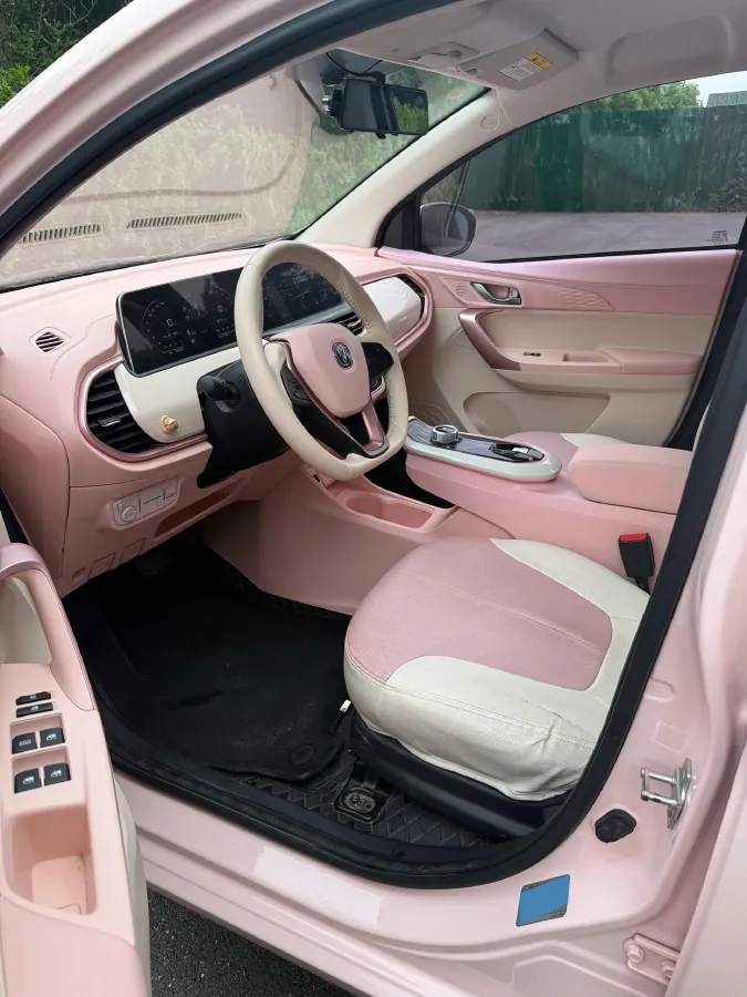 2022 ChangAn BenBen E-Star BEV 31.95KWH,autocango,china used car exporter,china ev exporter,chinese used car exporter,chinese used ev exporter