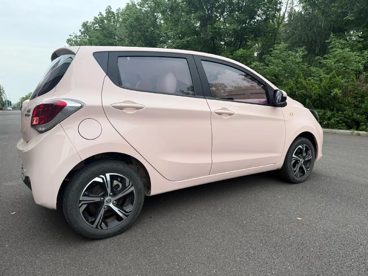 2022 ChangAn BenBen E-Star BEV 31.95KWH,autocango,china used car exporter,china ev exporter,chinese used car exporter,chinese used ev exporter