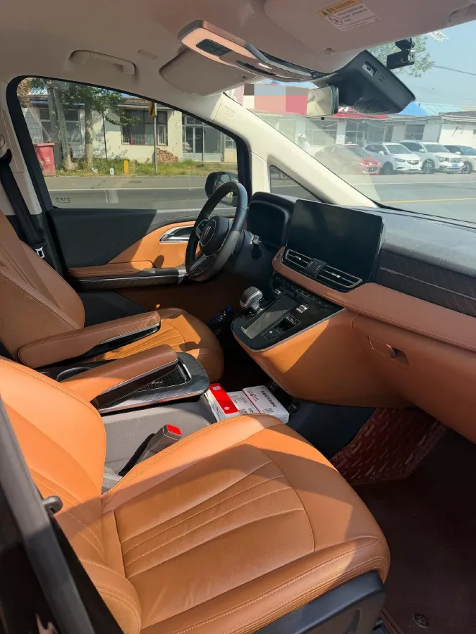 2024 HongQi HQ9 2.0T 163HP L4 1DHT PHEV 20.14KWH,autocango,china used car exporter,china ev exporter,chinese used car exporter,chinese used ev exporter