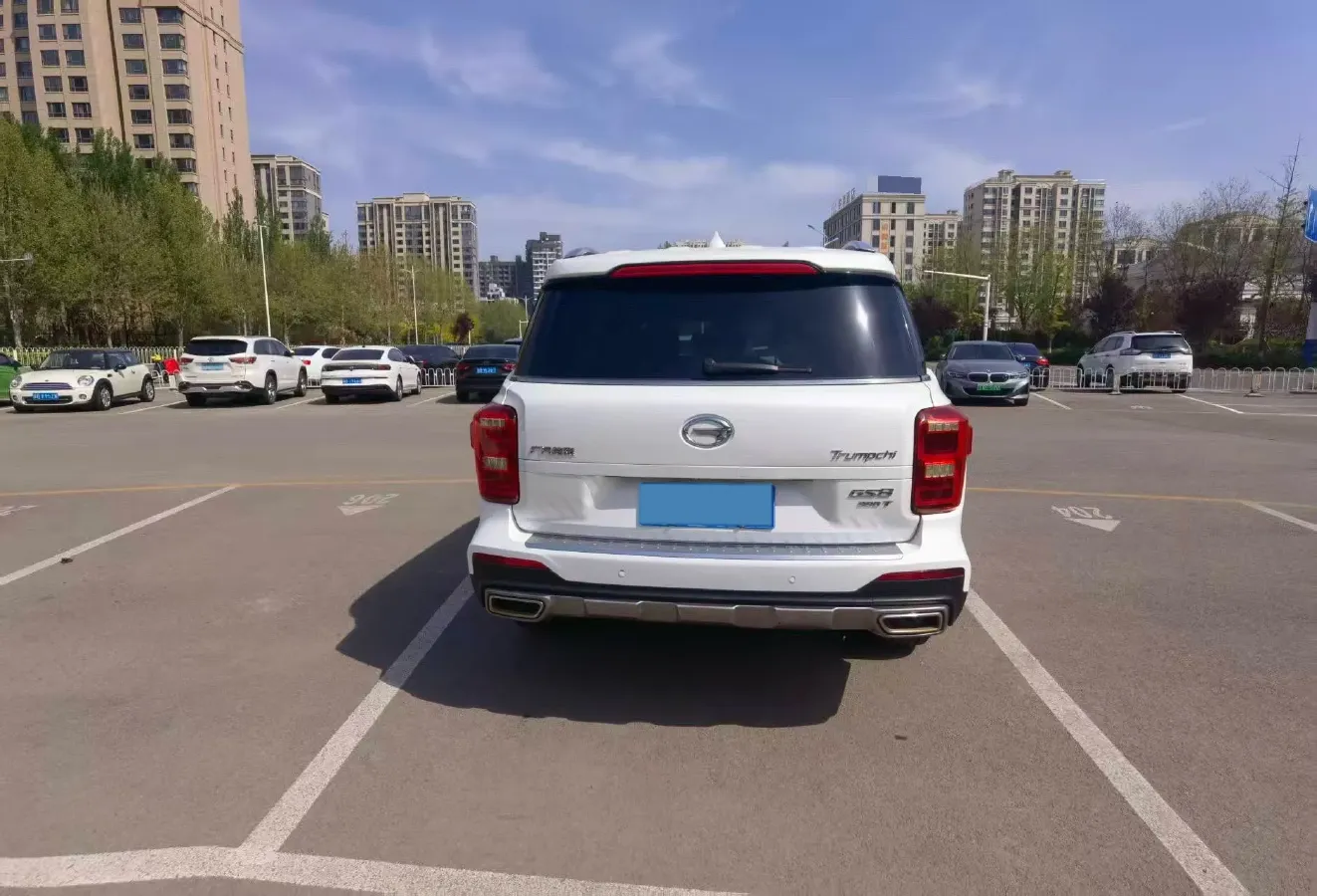 2019 GAC Trumpchi GS8 2.0T 252HP L4 6AT,autocango,china used car exporter,china ev exporter,chinese used car exporter,chinese used ev exporter