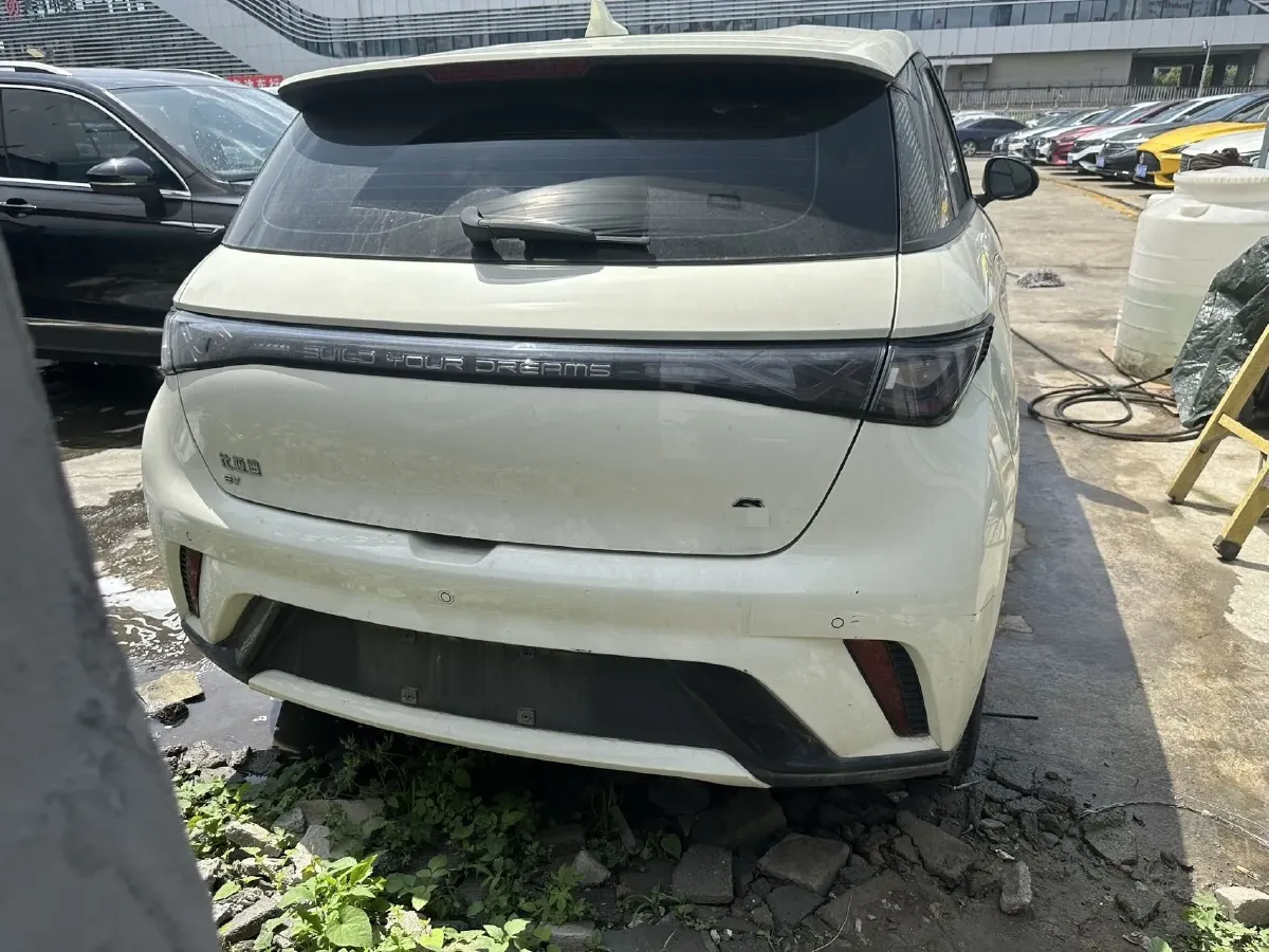2023 BYD Dolphin BEV 44.928KWH,autocango,china used car exporter,china ev exporter,chinese used car exporter,chinese used ev exporter