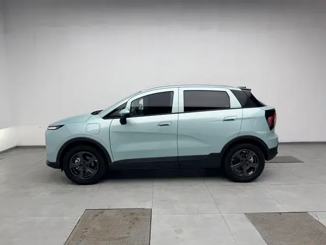 2024 Geometry E BEV 29.67KWH,autocango,china used car exporter,china ev exporter,chinese used car exporter,chinese used ev exporter