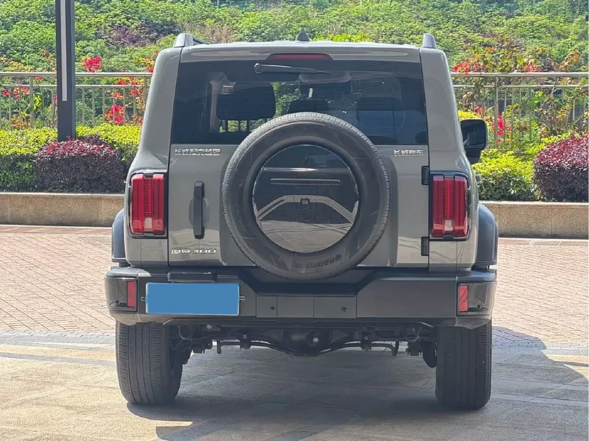 2024 Tank 300 2.0T 227HP L4 8AT,autocango,china used car exporter,china ev exporter,chinese used car exporter,chinese used ev exporter