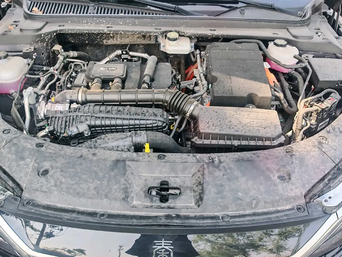 2024 BYD QinL 1.5L 101HP L4 E-CVT PHEV 15.87KWH,autocango,china used car exporter,china ev exporter,chinese used car exporter,chinese used ev exporter