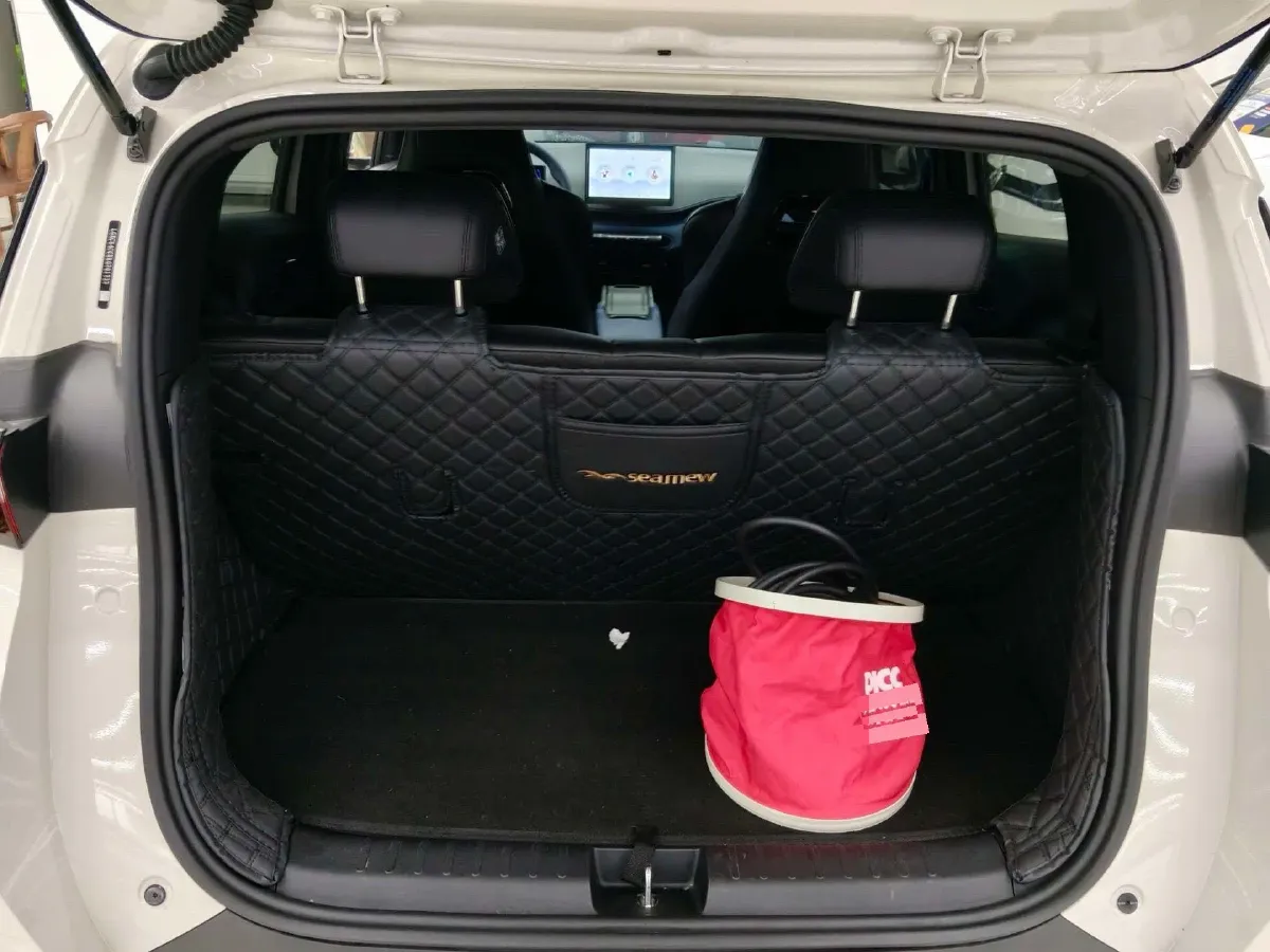 2024 BYD Seagull BEV 30.08KWH,autocango,china used car exporter,china ev exporter,chinese used car exporter,chinese used ev exporter