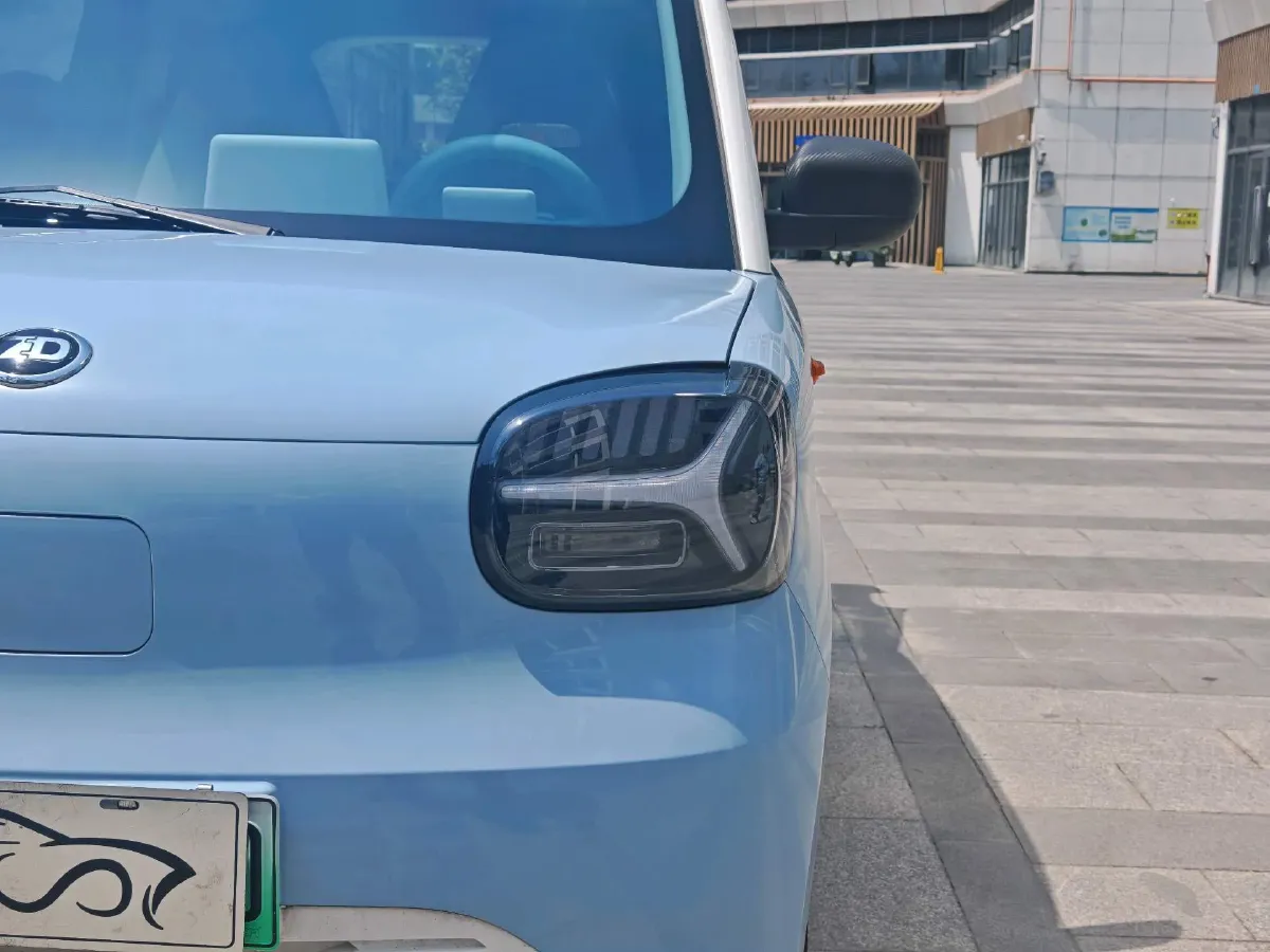 2024 ZD Rainbow BEV 17.3KWH,autocango,china used car exporter,china ev exporter,chinese used car exporter,chinese used ev exporter