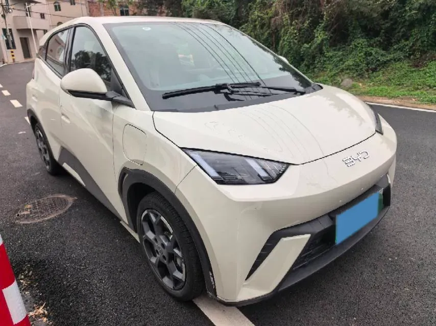 2025 BYD Seagull BEV 38.88KWH,autocango,china used car exporter,china ev exporter,chinese used car exporter,chinese used ev exporter