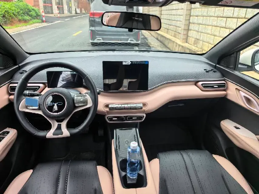 2025 BYD Seagull BEV 38.88KWH,autocango,china used car exporter,china ev exporter,chinese used car exporter,chinese used ev exporter