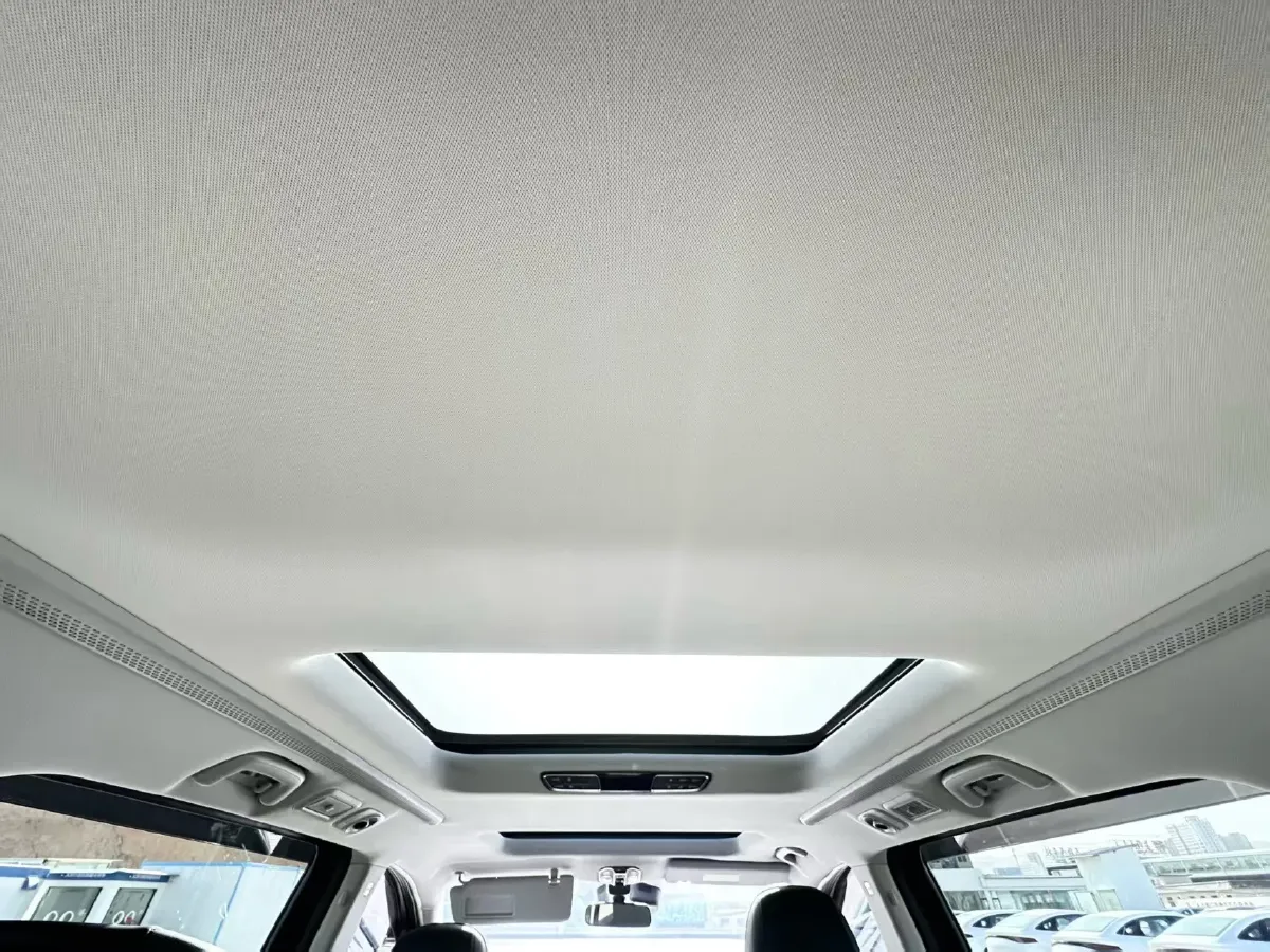 2024 GAC Trumpchi M8 2.0T 252HP L4 8AT,autocango,china used car exporter,china ev exporter,chinese used car exporter,chinese used ev exporter