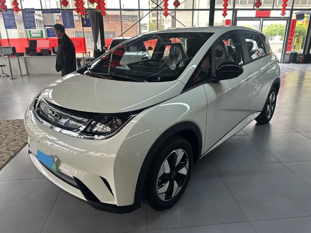 2025 BYD Dolphin BEV 44.928KWH,autocango,china used car exporter,china ev exporter,chinese used car exporter,chinese used ev exporter