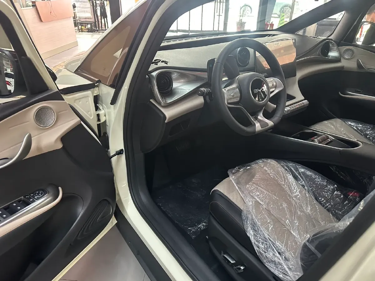 2025 BYD Dolphin BEV 44.928KWH,autocango,china used car exporter,china ev exporter,chinese used car exporter,chinese used ev exporter