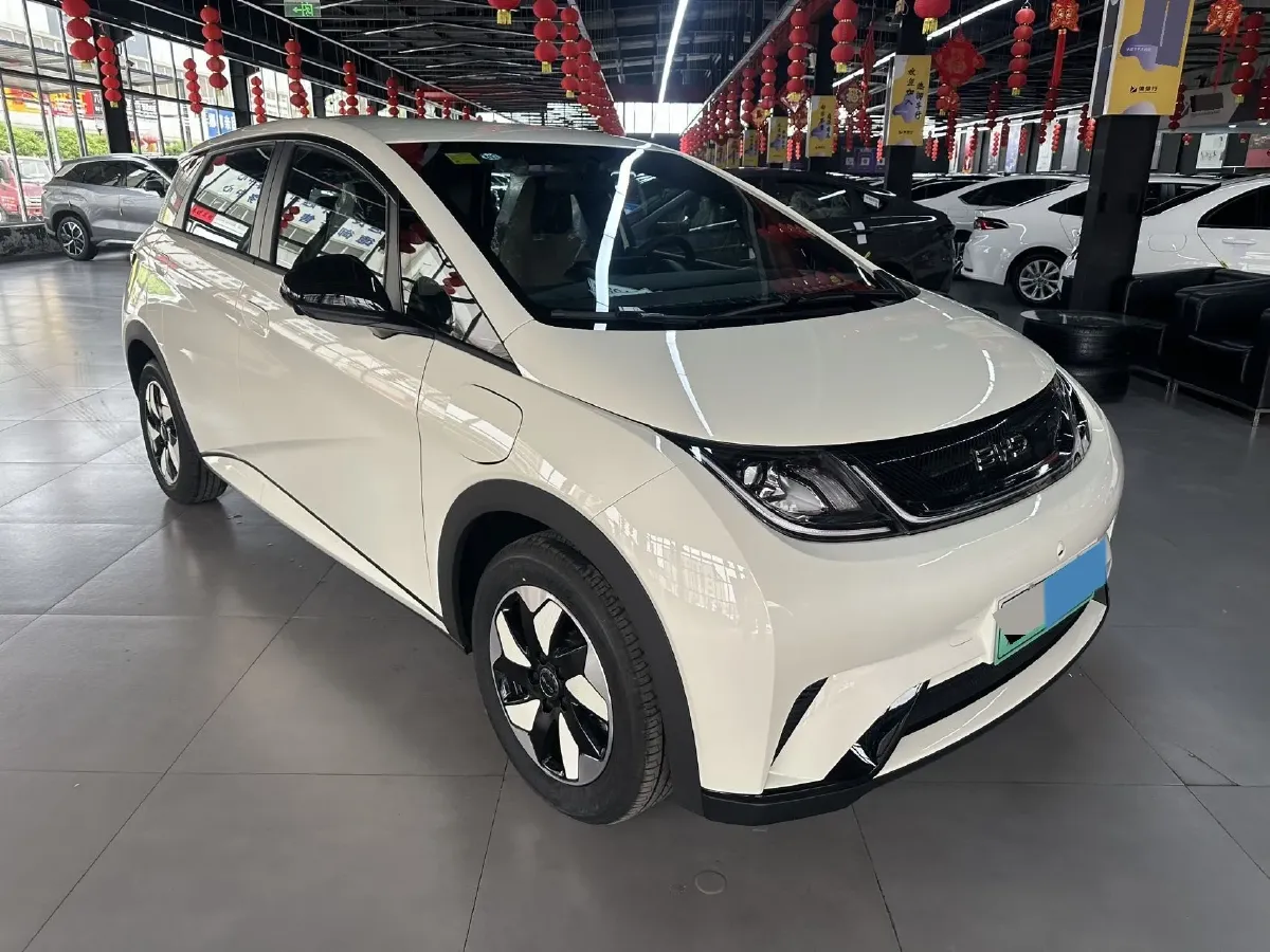 2025 BYD Dolphin BEV 44.928KWH,autocango,china used car exporter,china ev exporter,chinese used car exporter,chinese used ev exporter