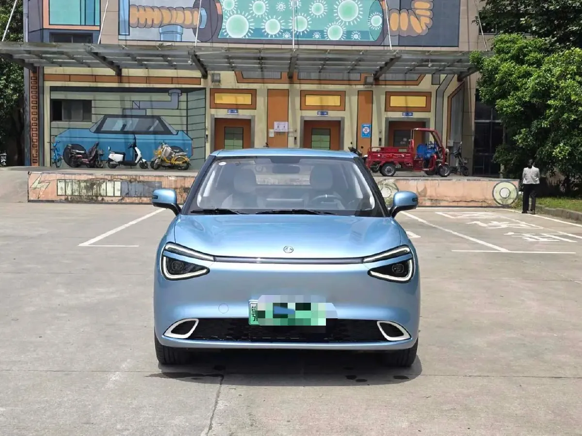 2024 DongFeng Nammi 01 BEV 42.3KWH,autocango,china used car exporter,china ev exporter,chinese used car exporter,chinese used ev exporter
