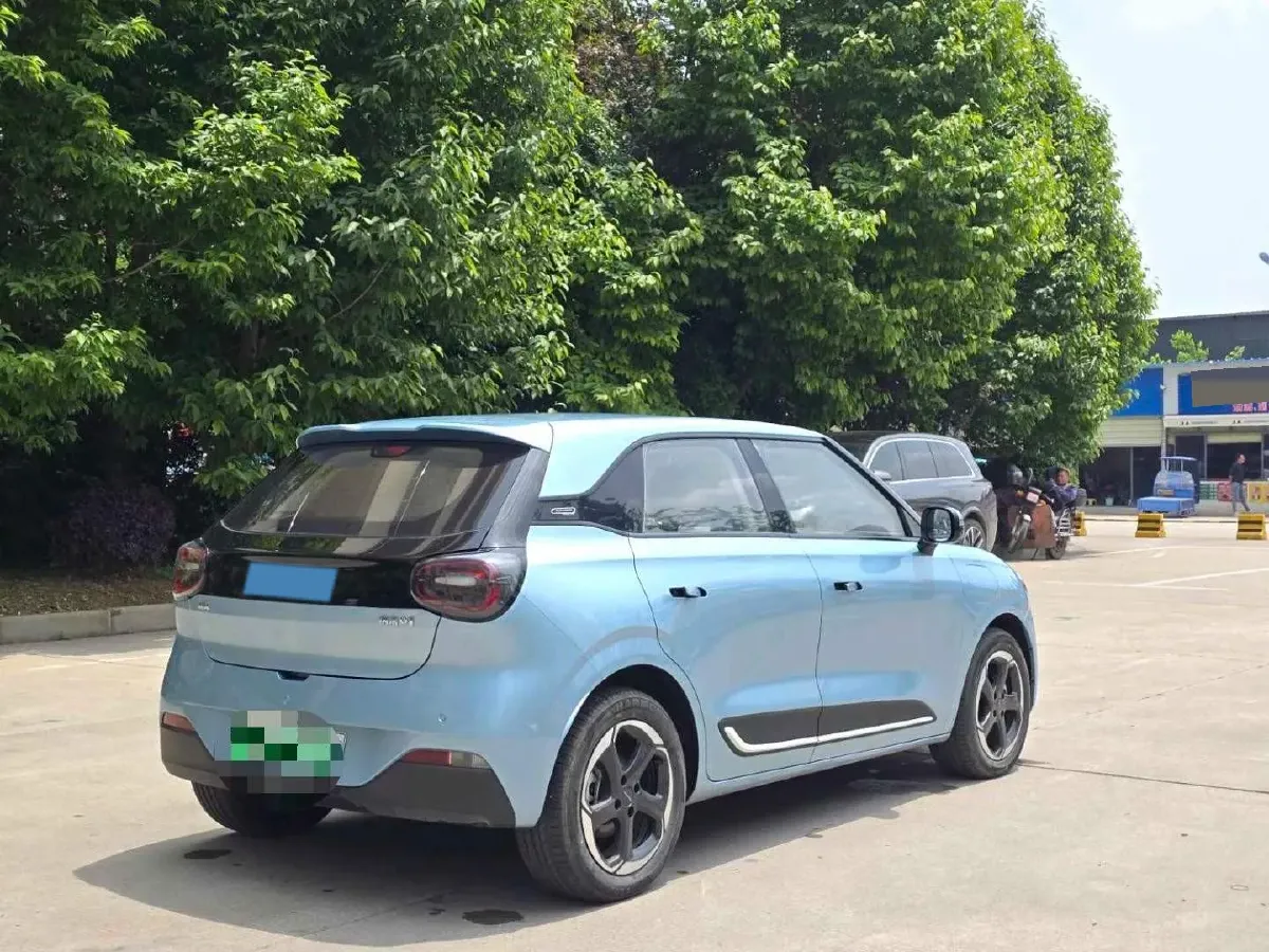 2024 DongFeng Nammi 01 BEV 42.3KWH,autocango,china used car exporter,china ev exporter,chinese used car exporter,chinese used ev exporter