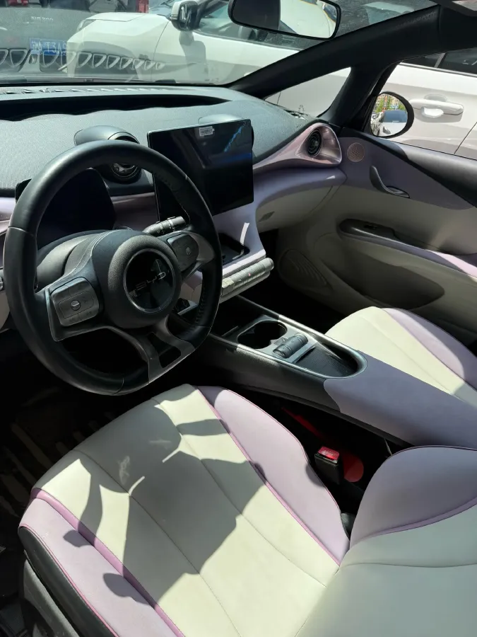 2021 BYD Yuan Pro BEV 50.1KWH,autocango,china used car exporter,china ev exporter,chinese used car exporter,chinese used ev exporter