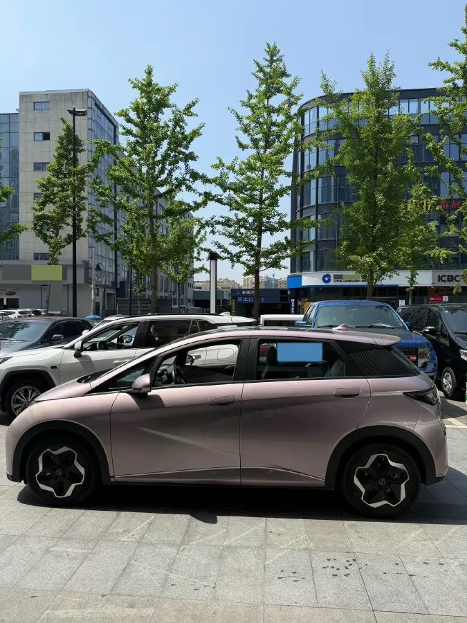 2021 BYD Yuan Pro BEV 50.1KWH,autocango,china used car exporter,china ev exporter,chinese used car exporter,chinese used ev exporter