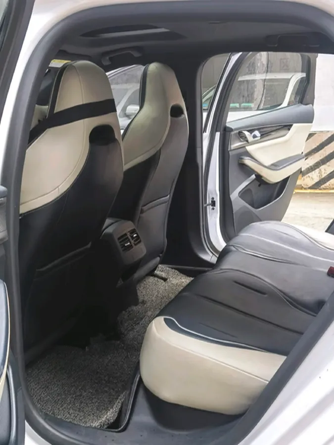 2021 DongFeng FuKang e Elysee BEV 30.7KWH,autocango,china used car exporter,china ev exporter,chinese used car exporter,chinese used ev exporter