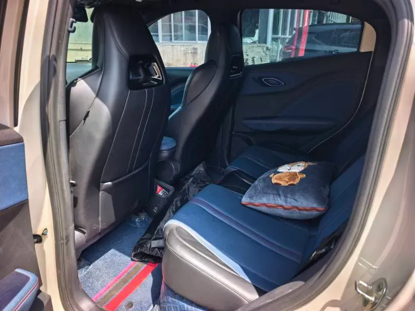 2025 BYD Seagull BEV 38.88KWH,autocango,china used car exporter,china ev exporter,chinese used car exporter,chinese used ev exporter