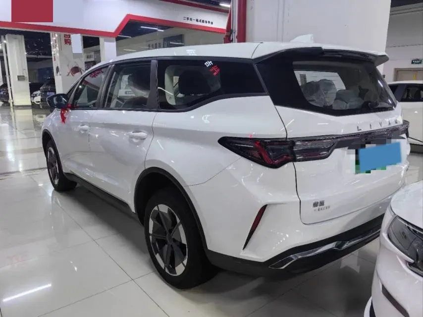 2025 Livan 8 BEV 50.4KWH,autocango,china used car exporter,china ev exporter,chinese used car exporter,chinese used ev exporter
