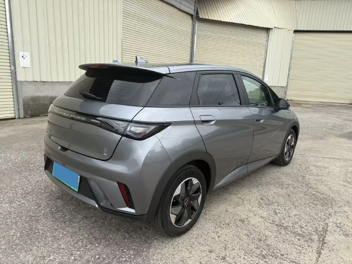 2024 BYD Dolphin BEV 44.928KWH,autocango,china used car exporter,china ev exporter,chinese used car exporter,chinese used ev exporter