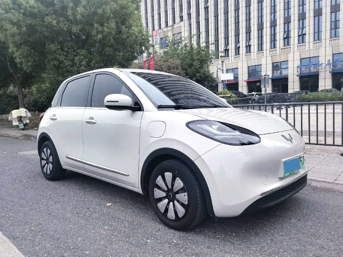 2024 WuLing BinGuo BEV 31.9KWH,autocango,china used car exporter,china ev exporter,chinese used car exporter,chinese used ev exporter