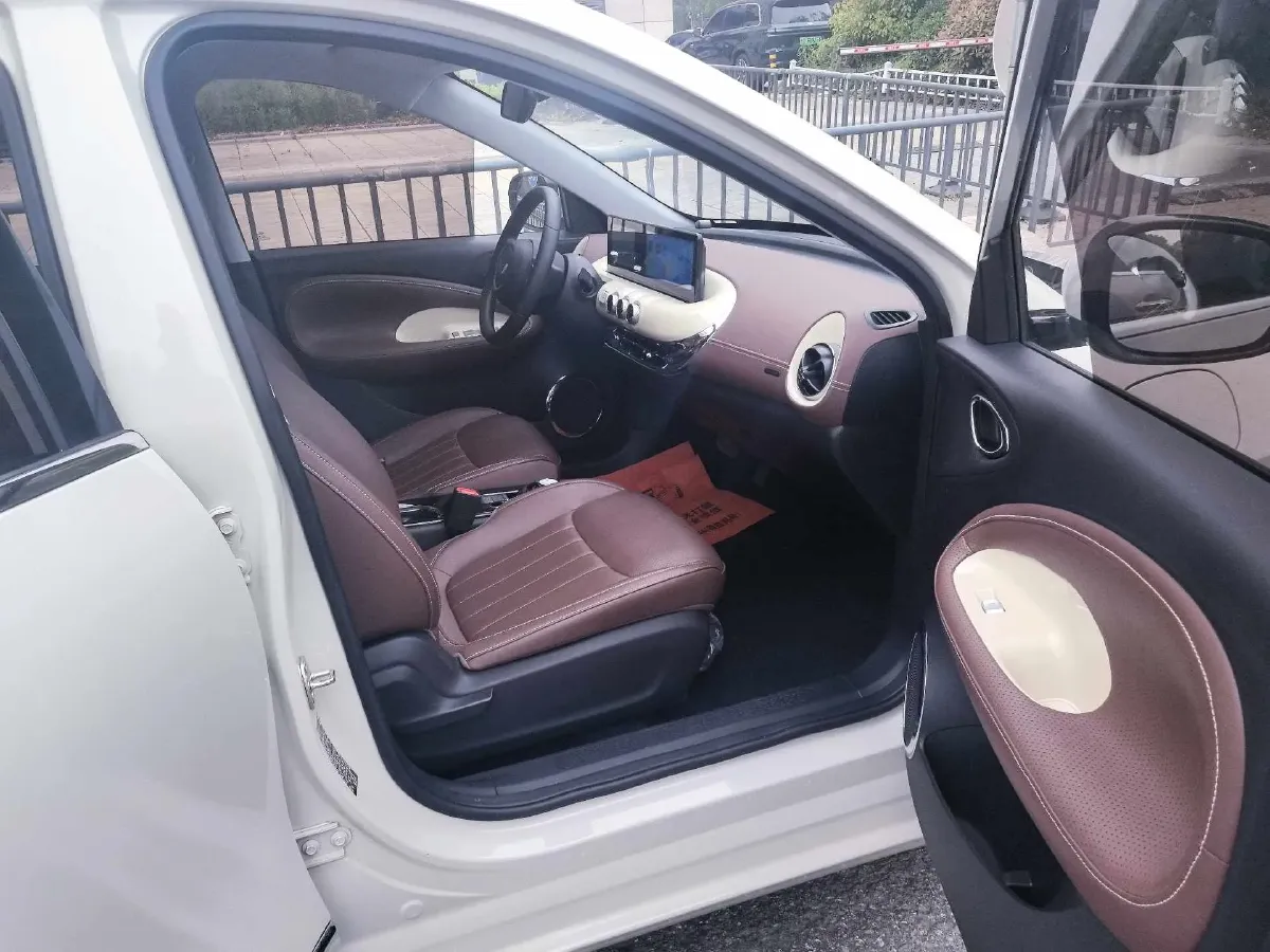 2024 WuLing BinGuo BEV 31.9KWH,autocango,china used car exporter,china ev exporter,chinese used car exporter,chinese used ev exporter