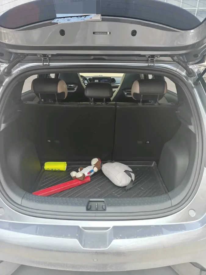 2023 BYD Dolphin BEV 44.928KWH,autocango,china used car exporter,china ev exporter,chinese used car exporter,chinese used ev exporter