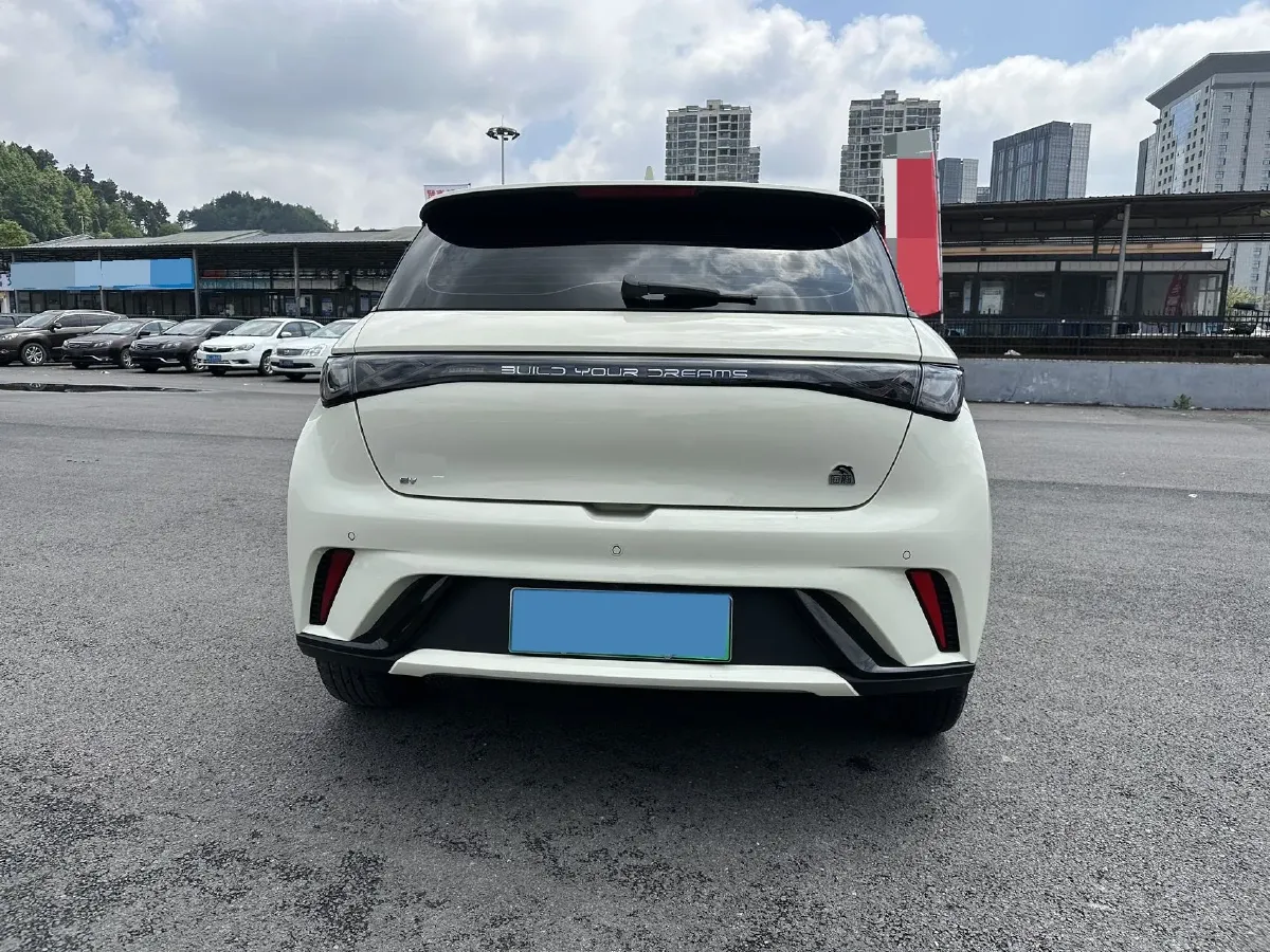2023 BYD Dolphin BEV 44.928KWH,autocango,china used car exporter,china ev exporter,chinese used car exporter,chinese used ev exporter